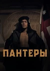 Сериал Пантеры 1 сезон 1-6 серия смотреть онлайн