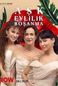 Сериал Любовь, брак, развод — постер