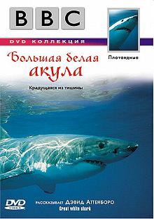 Постер BBC: Большая белая акула (Great White Shark)