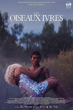 Пьяные пташки