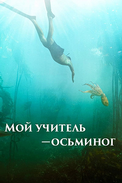 Мой учитель-осьминог