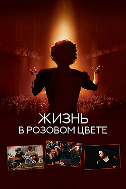 Жизнь в розовом цвете
