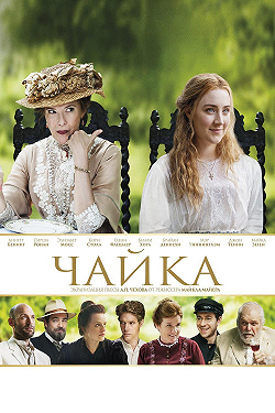 Чайка