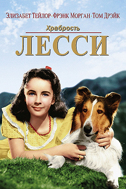 Храбрость Лэсси