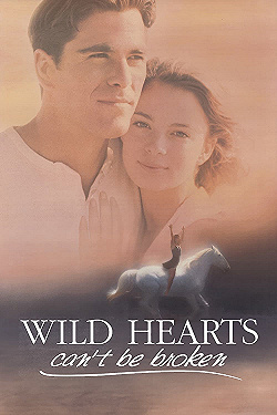 Постер Храбрых сердцем не сломить (1991)