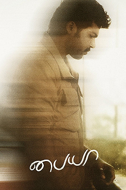 Постер Погоня (2010)