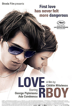 Постер Дамский угодник (2011)