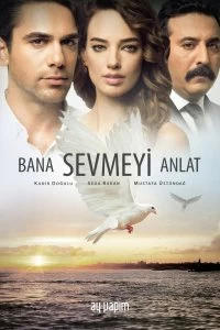 Постер Расскажи мне, как любить (2016)