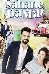 Постер Замечательный зять (2016)