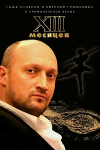 Постер Тринадцать месяцев (2008)