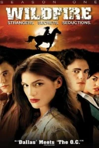 Постер Дикий огонь (2005)