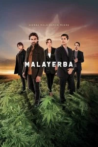Постер Дурная трава (2021)