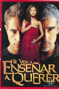 Постер Я научу тебя любить (2004)