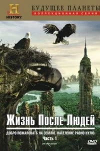 Постер Жизнь после людей (2009)