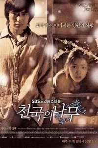 Постер Райское дерево (2006)
