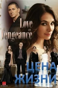 Постер Цена жизни (2009)