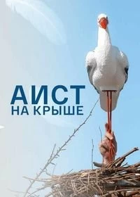 Постер Аист на крыше (2021)