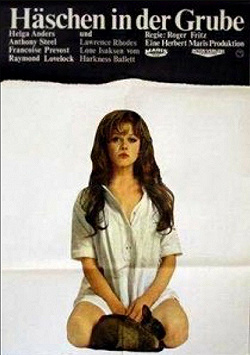 Постер Заяц в норе (1969)