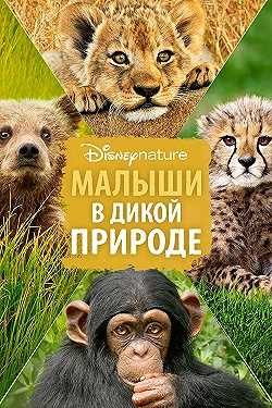Постер Малыши в дикой природе (2016)